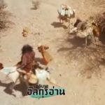 ตัฟซีร ซูเราะฮฺอัลอันอาม 30 