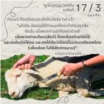 หะดีษ 17-3 จงเชือด(สัตว์)ด้วยวิธีที่ดี//