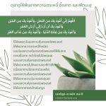 ดุอาอฺให้พ้นจากความตระหนี่ ขี้ขลาด ฟิตนะฮฺและการลงโทษ