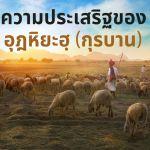 ความประเสริฐของอุฎหิยะฮฺ(กุรบาน)