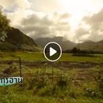 ตัฟซีร ซูเราะฮฺอัลอันอาม 52 (อายะฮฺ 99-101) 